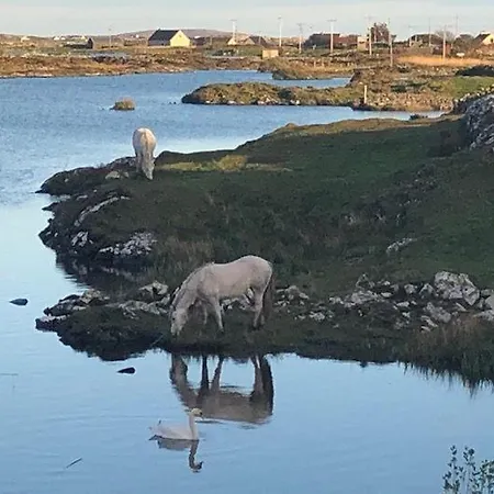 Ty Ar Stang Dom wakacyjny Ballyconneely